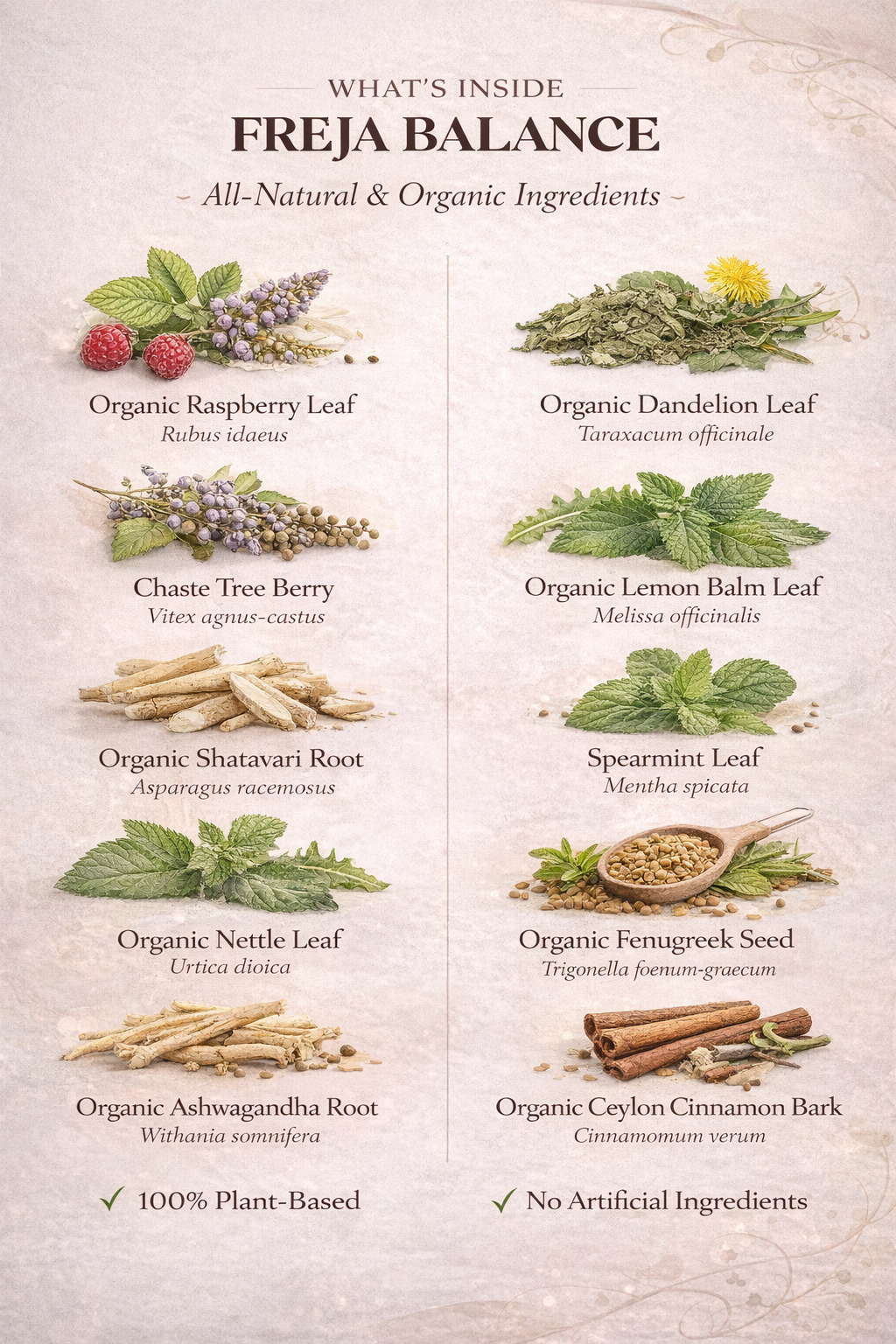 Freja Balance – Menopause & Hormonal Wellness Herbal Tea (80g)
